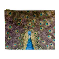 Bird Peacock Feather Cosmetic Bag (xl) by HermanTelo