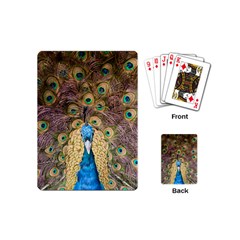 Bird Peacock Feather Playing Cards (mini)