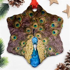 Bird Peacock Feather Snowflake Ornament (two Sides) by HermanTelo