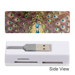 Bird Peacock Feather Memory Card Reader (stick)