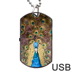 Bird Peacock Feather Dog Tag Usb Flash (two Sides) by HermanTelo