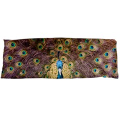 Bird Peacock Feather Body Pillow Case (dakimakura)