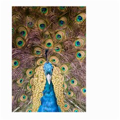 Bird Peacock Feather Large Garden Flag (two Sides) by HermanTelo