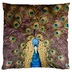 Bird Peacock Feather Large Cushion Case (one Side)