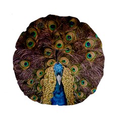 Bird Peacock Feather Standard 15  Premium Round Cushions