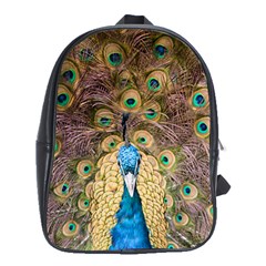 Bird Peacock Feather School Bag (xl) by HermanTelo