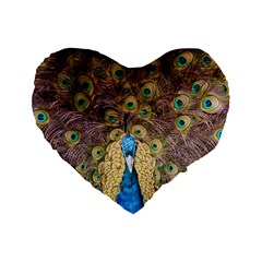 Bird Peacock Feather Standard 16  Premium Heart Shape Cushions