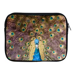 Bird Peacock Feather Apple Ipad 2/3/4 Zipper Cases by HermanTelo