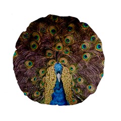 Bird Peacock Feather Standard 15  Premium Flano Round Cushions