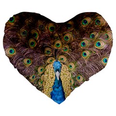 Bird Peacock Feather Large 19  Premium Flano Heart Shape Cushions