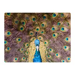 Bird Peacock Feather Double Sided Flano Blanket (mini)  by HermanTelo