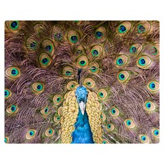 Bird Peacock Feather Double Sided Flano Blanket (medium) 