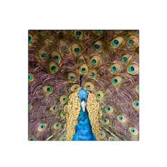 Bird Peacock Feather Satin Bandana Scarf by HermanTelo