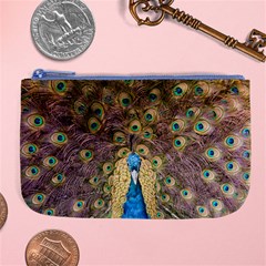 Bird Peacock Feather Large Coin Purse