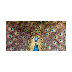 Bird Peacock Feather Yoga Headband