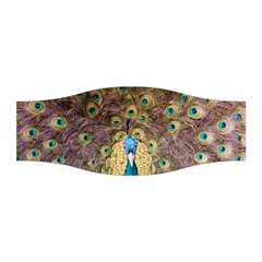 Bird Peacock Feather Stretchable Headband