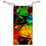 Color Abstract Polygon Jewelry Bag Back