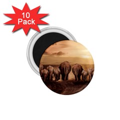 Elephant Dust Road Africa Savannah 1 75  Magnets (10 Pack)  by HermanTelo