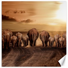 Elephant Dust Road Africa Savannah Canvas 12  X 12  by HermanTelo