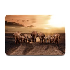 Elephant Dust Road Africa Savannah Plate Mats