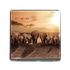 Elephant Dust Road Africa Savannah Memory Card Reader (square 5 Slot)