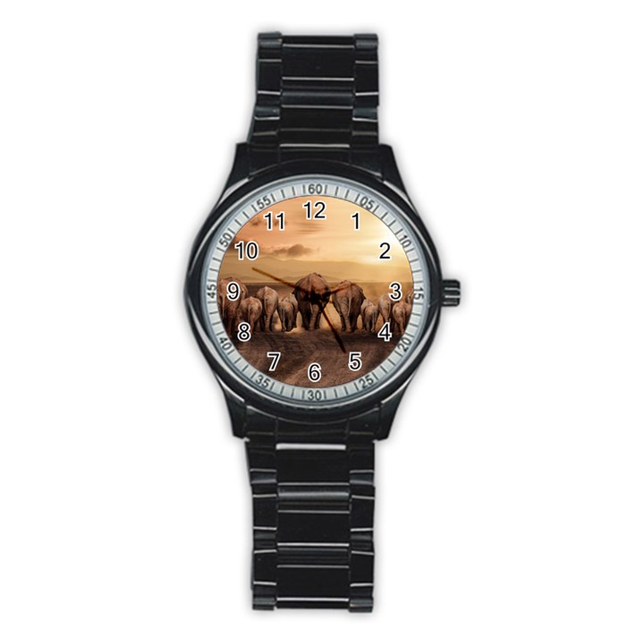 Elephant Dust Road Africa Savannah Stainless Steel Round Watch