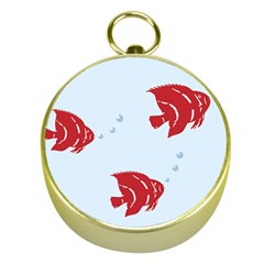 Fish Red Sea Water Swimming Gold Compasses