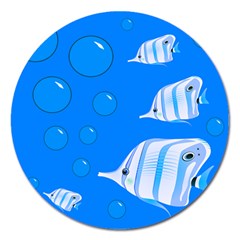 Fish School Bubbles Underwater Sea Magnet 5  (round)