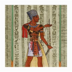 Egyptian Design Man Royal Medium Glasses Cloth (2 Sides) by Sapixe