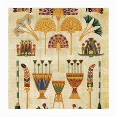 Egyptian Paper Papyrus Hieroglyphs Medium Glasses Cloth by Sapixe