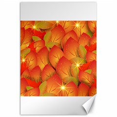 Pattern Texture Leaf Canvas 20  X 30 