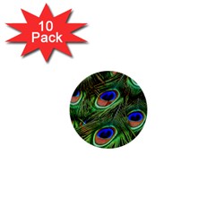 Peacock Feathers Plumage Iridescent 1  Mini Buttons (10 Pack)  by HermanTelo