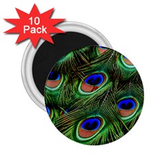 Peacock Feathers Plumage Iridescent 2 25  Magnets (10 Pack)  by HermanTelo