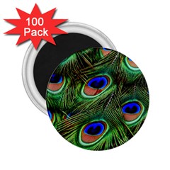 Peacock Feathers Plumage Iridescent 2 25  Magnets (100 Pack)  by HermanTelo