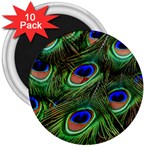 Peacock Feathers Plumage Iridescent 3  Magnets (10 pack)  Front