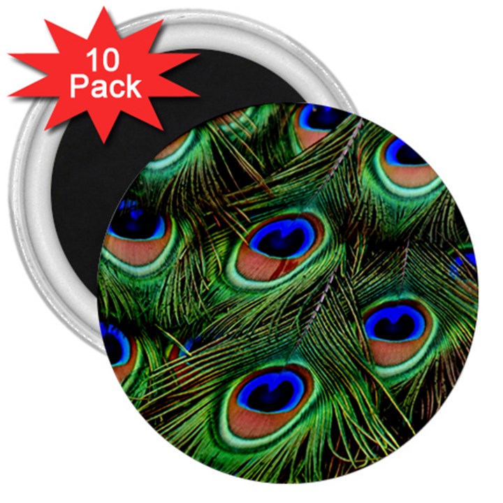 Peacock Feathers Plumage Iridescent 3  Magnets (10 pack) 