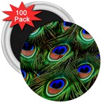 Peacock Feathers Plumage Iridescent 3  Magnets (100 pack) Front