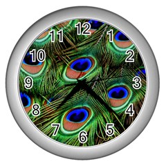 Peacock Feathers Plumage Iridescent Wall Clock (silver) by HermanTelo