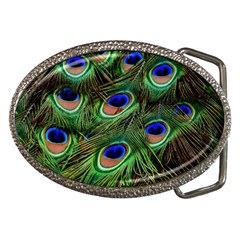 Peacock Feathers Plumage Iridescent Belt Buckles