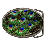 Peacock Feathers Plumage Iridescent Belt Buckles Front