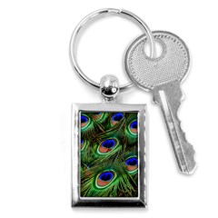 Peacock Feathers Plumage Iridescent Key Chain (rectangle) by HermanTelo