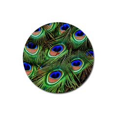 Peacock Feathers Plumage Iridescent Magnet 3  (round) by HermanTelo