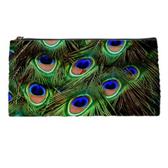 Peacock Feathers Plumage Iridescent Pencil Cases by HermanTelo