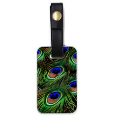 Peacock Feathers Plumage Iridescent Luggage Tag (one Side)