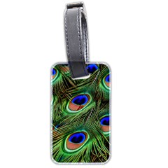 Peacock Feathers Plumage Iridescent Luggage Tag (two Sides)