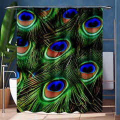 Peacock Feathers Plumage Iridescent Shower Curtain 60  X 72  (medium) 