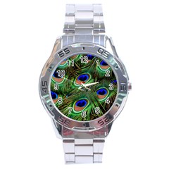 Peacock Feathers Plumage Iridescent Stainless Steel Analogue Watch