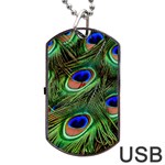 Peacock Feathers Plumage Iridescent Dog Tag USB Flash (Two Sides) Front