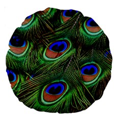 Peacock Feathers Plumage Iridescent Large 18  Premium Round Cushions