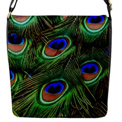 Peacock Feathers Plumage Iridescent Flap Closure Messenger Bag (s)